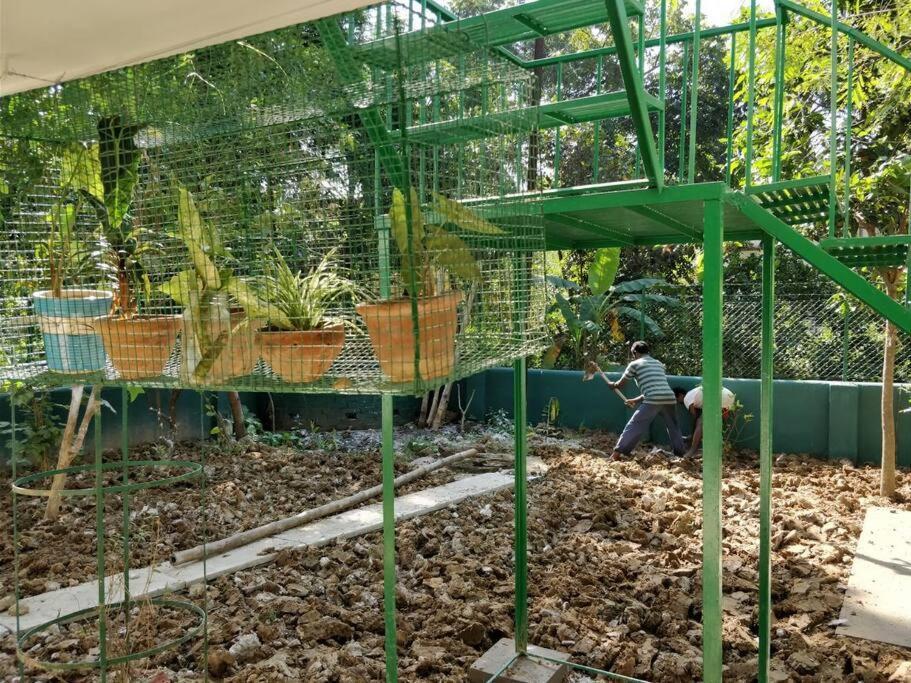 Bhitey Homestay Simantapally / Shantiniketan Dış mekan fotoğraf